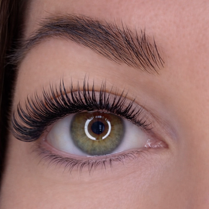 The Essential Lash Kit | Style DRAMA