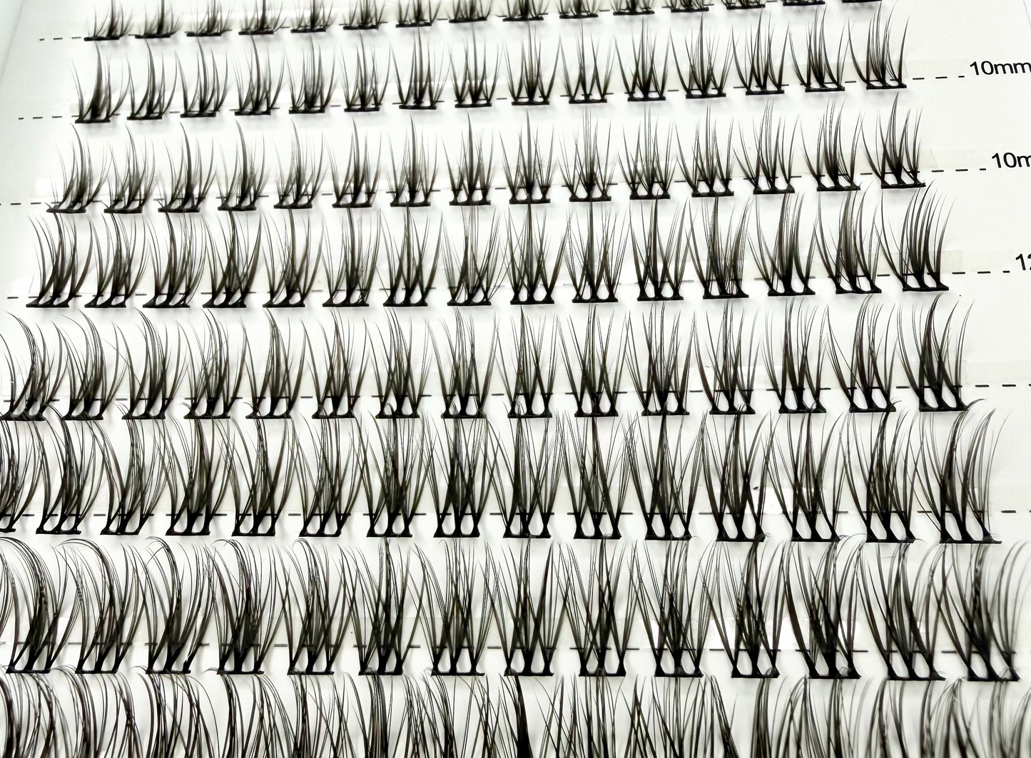 The Essential Lash Kit | Style WISPY