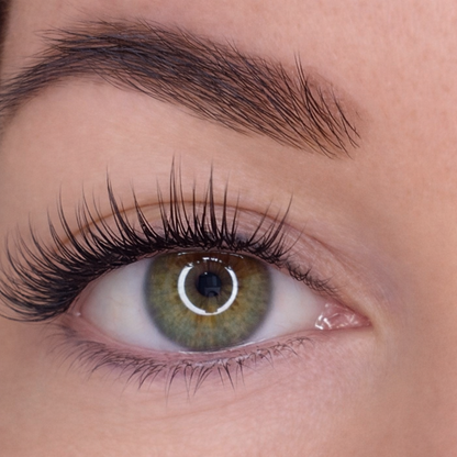 The Essential Lash Kit | Style WISPY