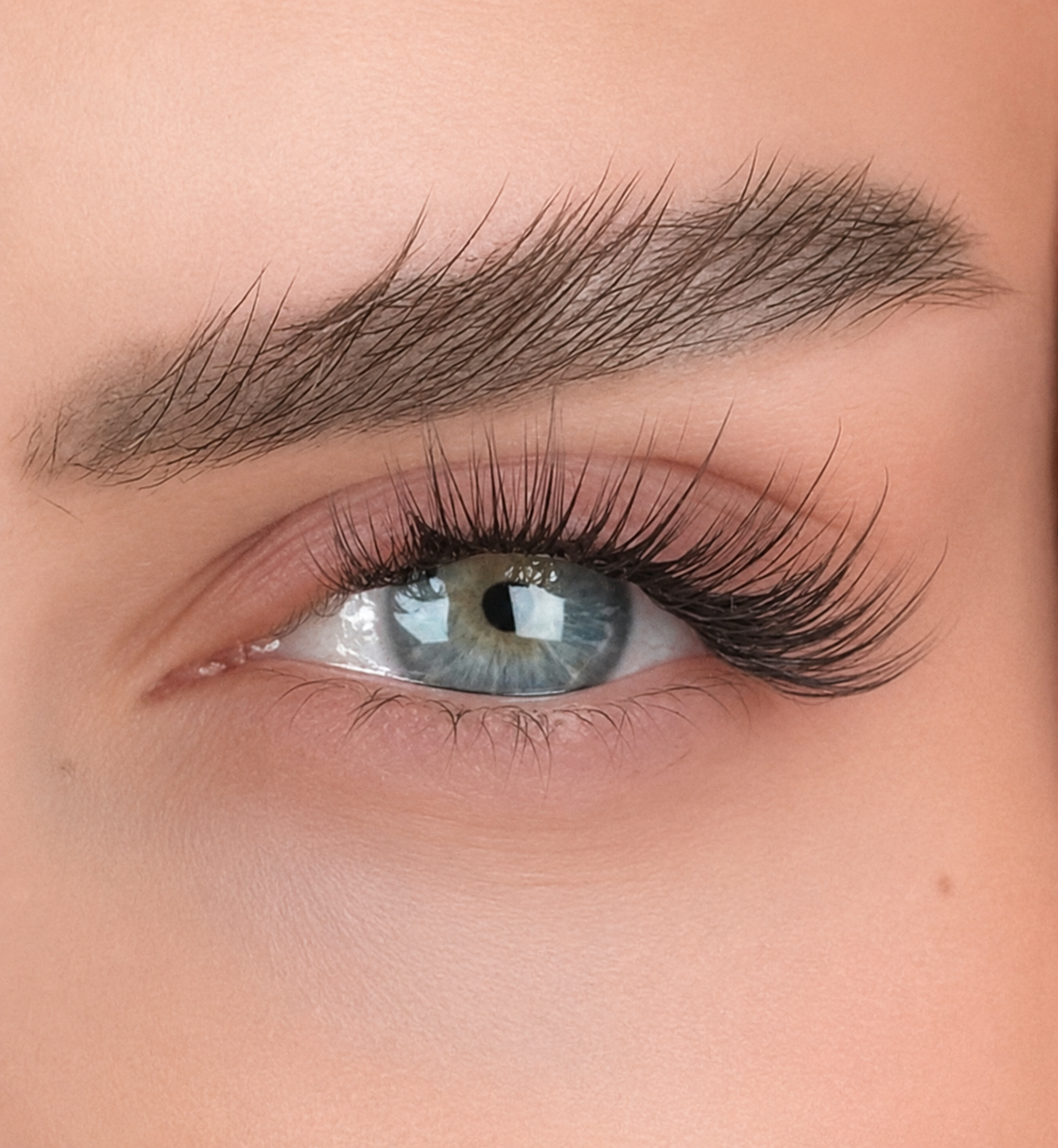 Close-up of our Wispy Style, lashmap 8mm, 10mm, 12mm, 10mm